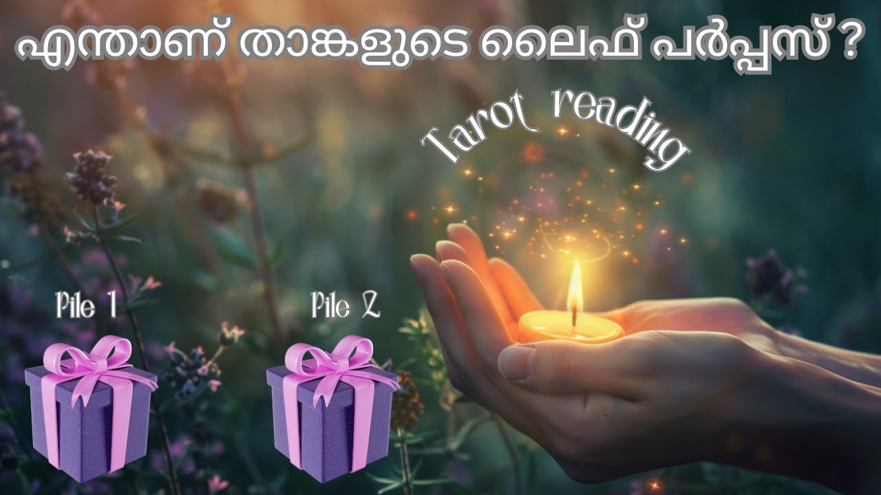 എന്താണ് താങ്കളുടെ ലൈഫ് പർപ്പസ് ? 🧲💫 TIMELESS PICK A CARD READING 🧲 💫 🍀🌞 ♾️ 🌝 🪄