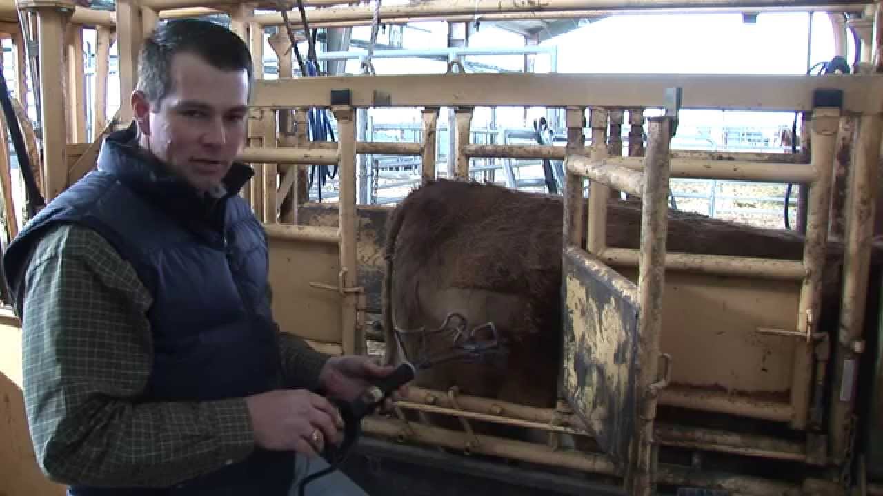 Джейсон Клир — Брендинг — Подготовка к брендингу