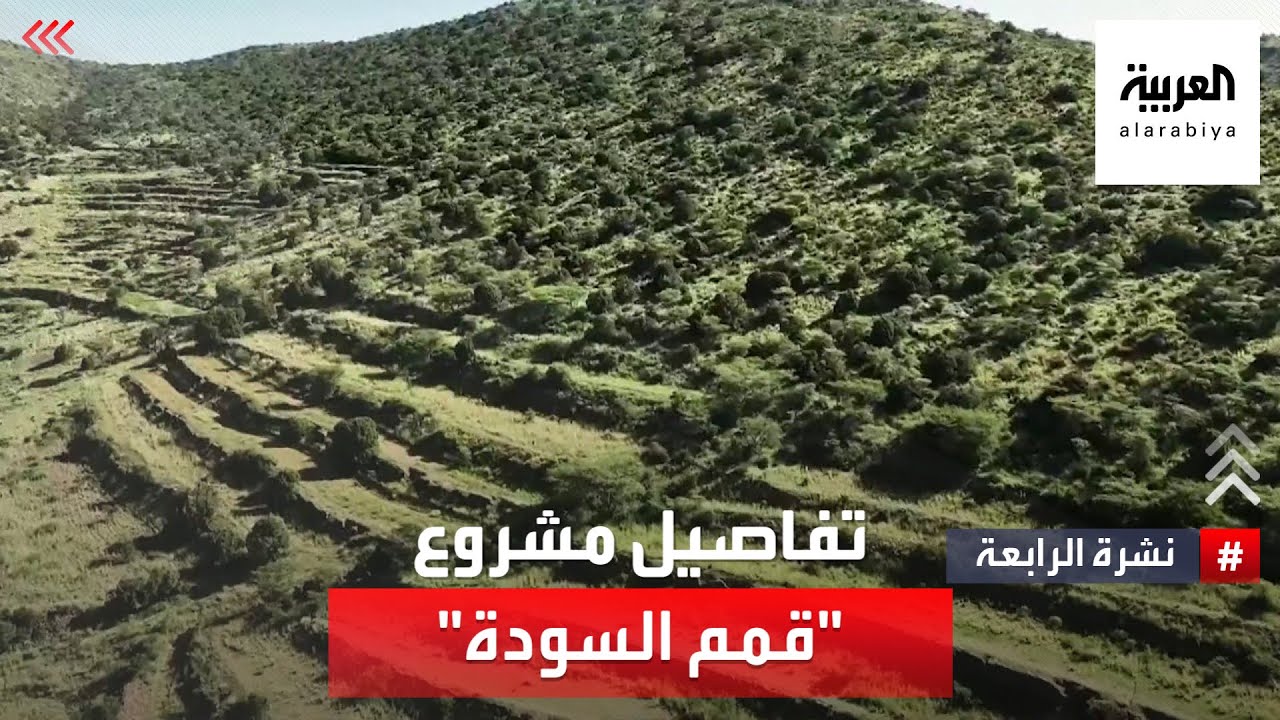نشرة الرابعة | 