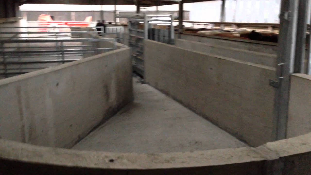 Livestock Handling System