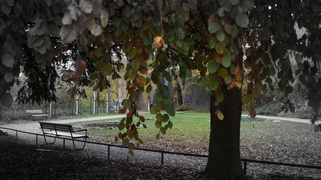 Der Herbst spricht leise