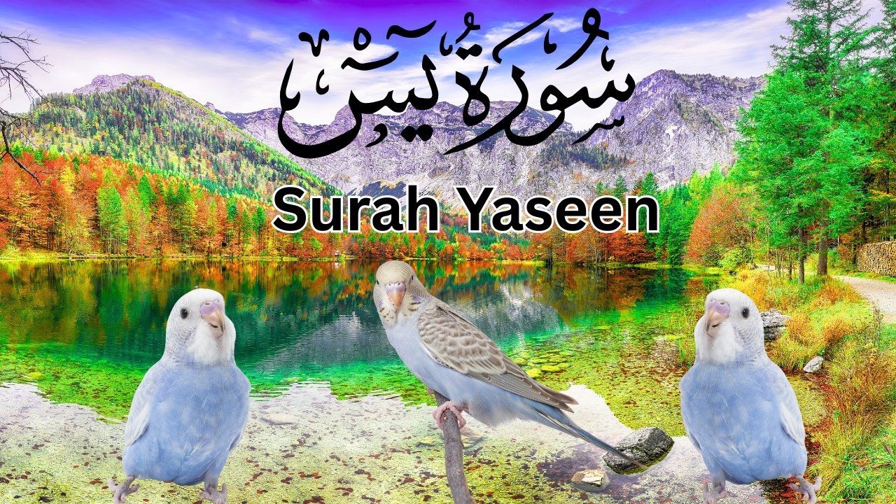 Surah Yasin Full HD | Peaceful Quran Recitation with Arabic Text | Yaseen TV #surahyaseenfull