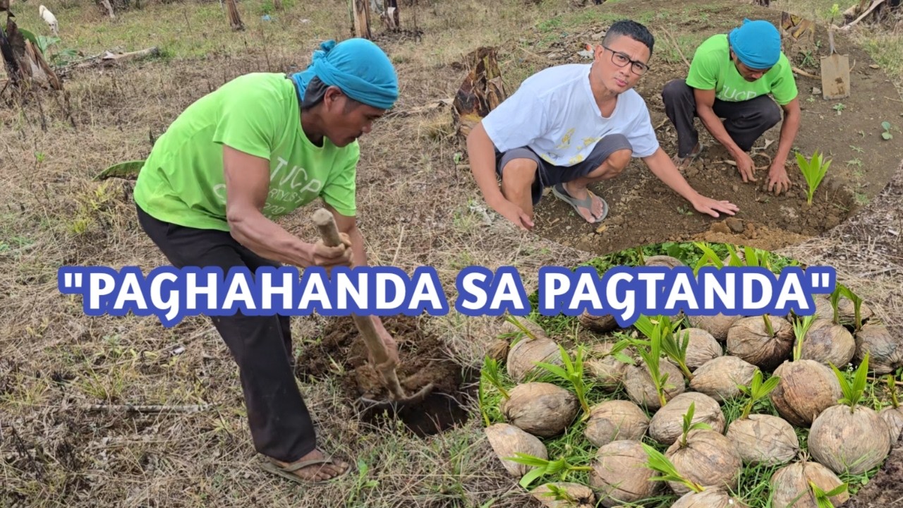 Nagtanim Kami ng Niyog 🌴 Permanenteng Investment Para sa Pagtanda