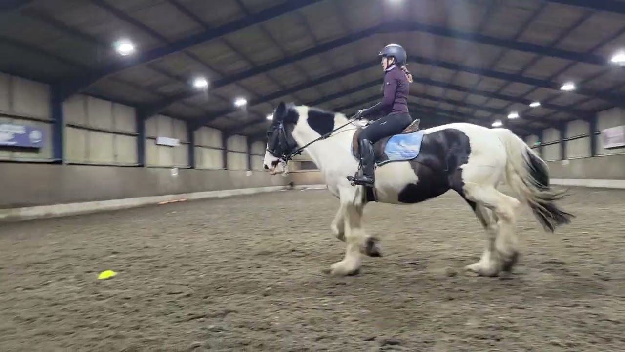 ERIDERS Prelim 2a February 2026