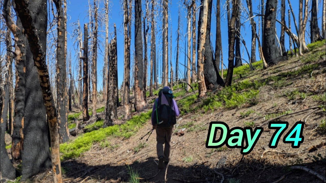 PCT 2025 | Day 74 - Burn Zone, Overgrowth, and Hard Day