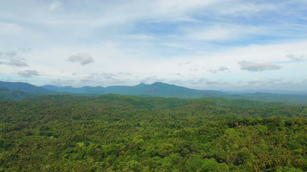 Aerial Serenity @Rideekanda Forest Monastery