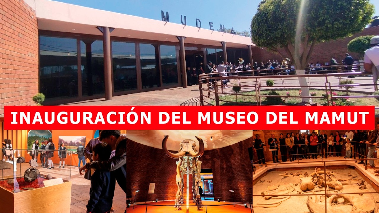 Inauguración del Museo del Mamut (MUDEMA)