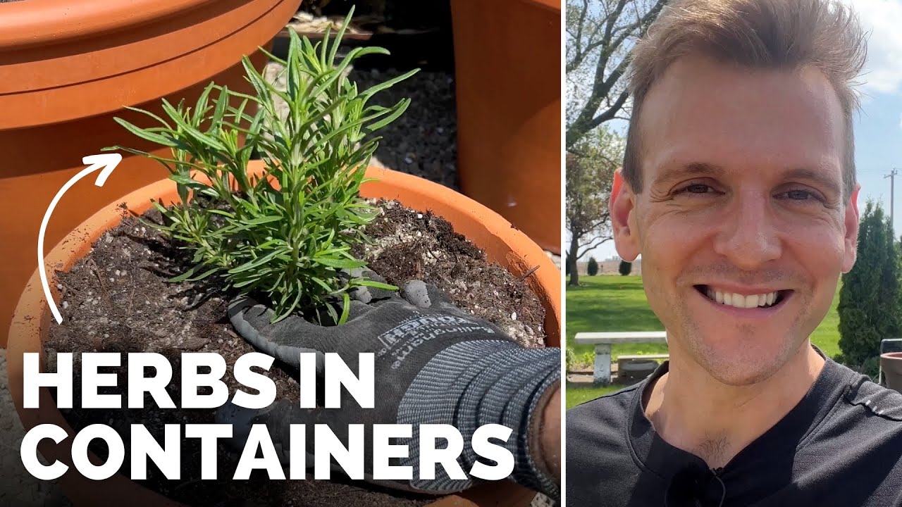 Planting Herbs in Containers + Herbs in my Raised Bed Garden | Gardening with Wyse Guide