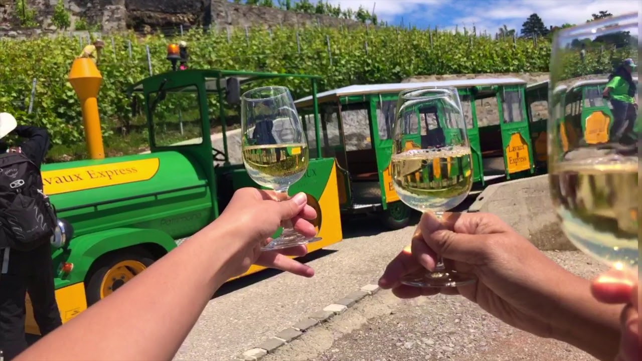 Lavaux Express 12-06-19