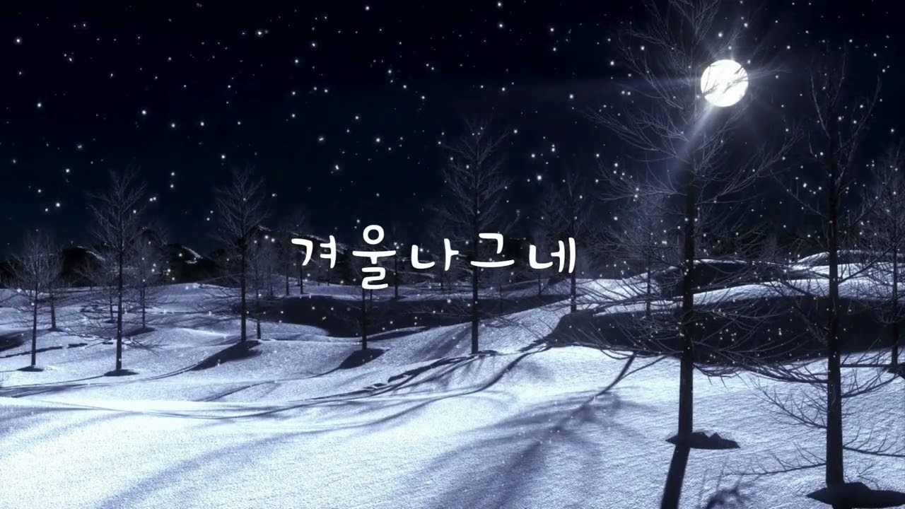 겨울나그네 / 꽃중년박씨가 글을 쓰고 AI가 곡을 쓰고 노래한 곡
