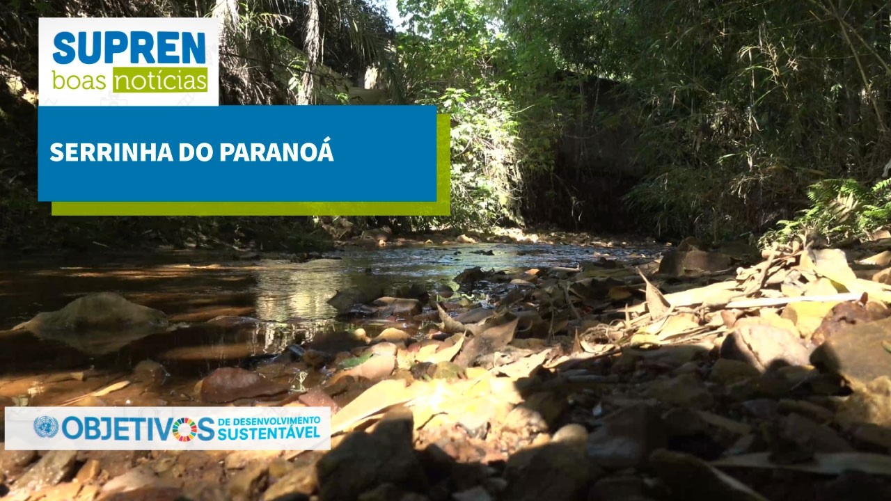 Serrinha do Paranoá é nascedouro que abastece parte do DF