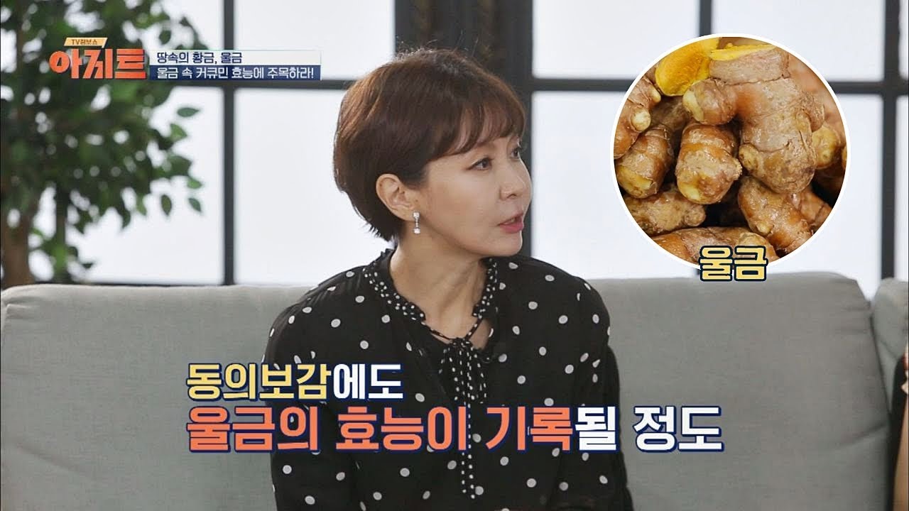 땅속의 황금인 울금 속 '커큐민'의 효능은?! TV정보쇼 아지트 15회