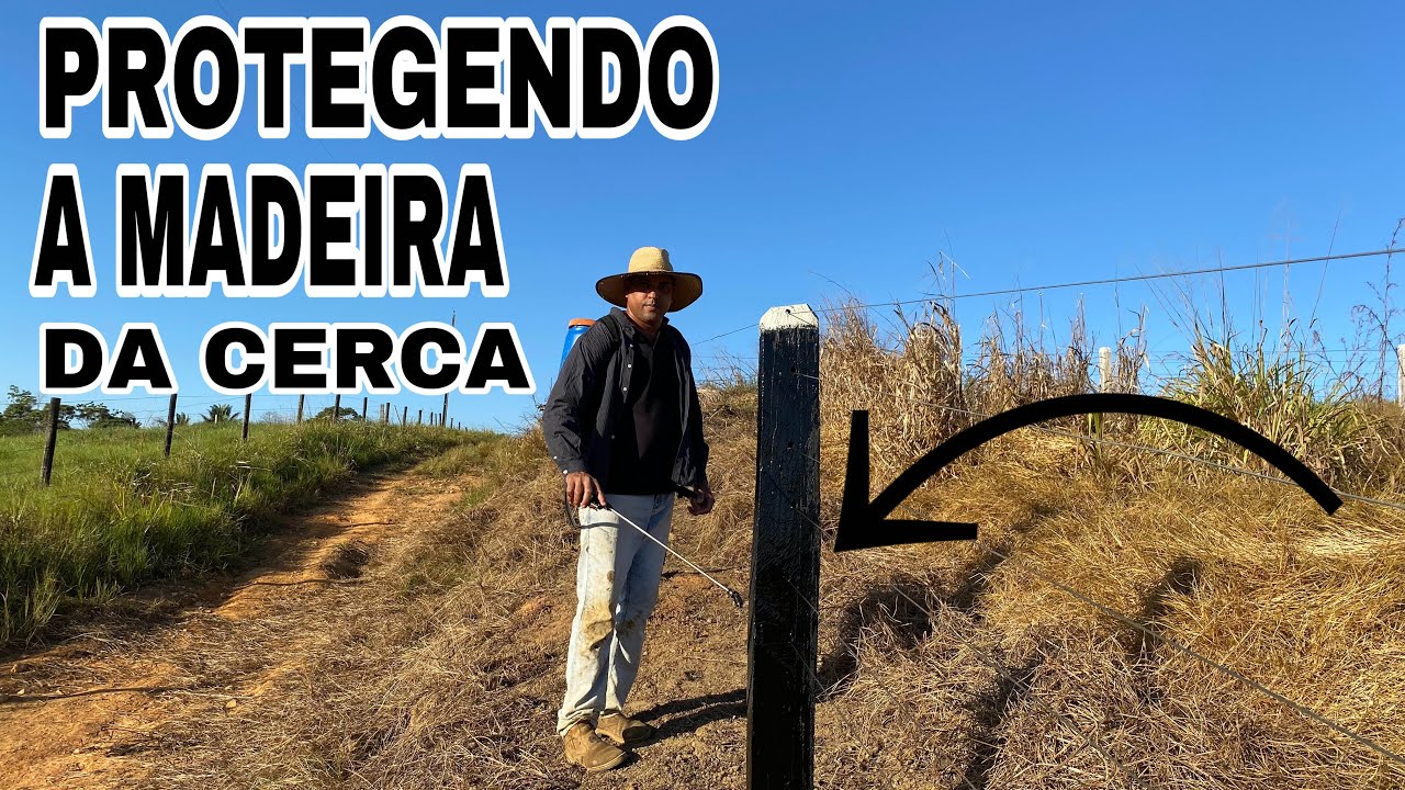 COMO PROTEGER ESTACAS,MANCOS,CERCAS COM RAPIDEZ SEM GASTAR MUITO  | morando na roça