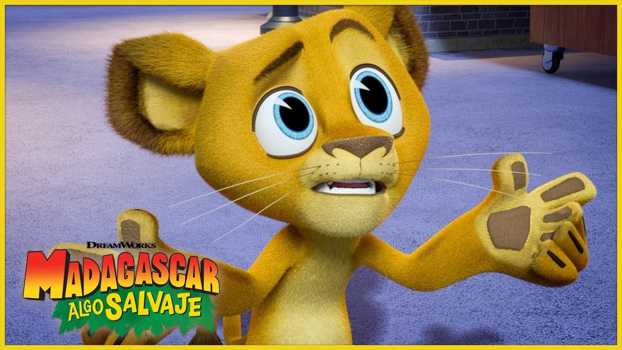 La emboscada en ambulancia 🚑 | DreamWorks Madagascar en Español Latino