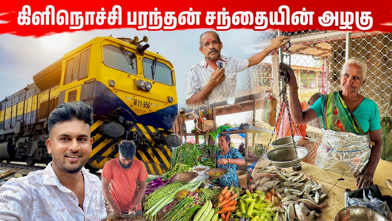 தற்போது பரந்தன் மீன் சந்தையின் நிலமை | Kilinochchi Paranthan Market 