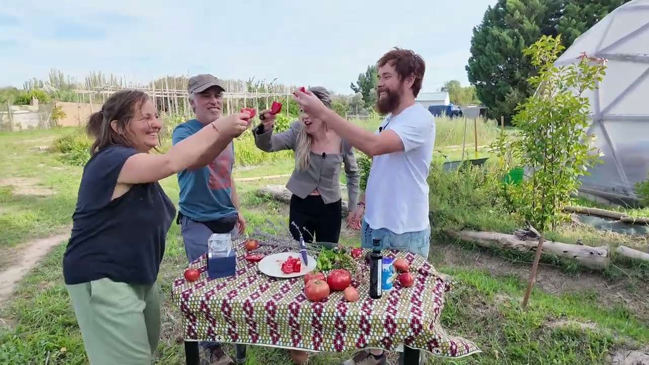 NAVARRA HOY: Es tiempo de tomate feo