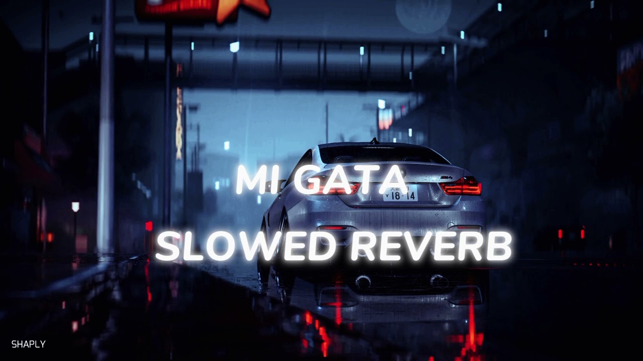 Mi Gata Slowed Reverb | BASS BOOSTED | BASS VIBES