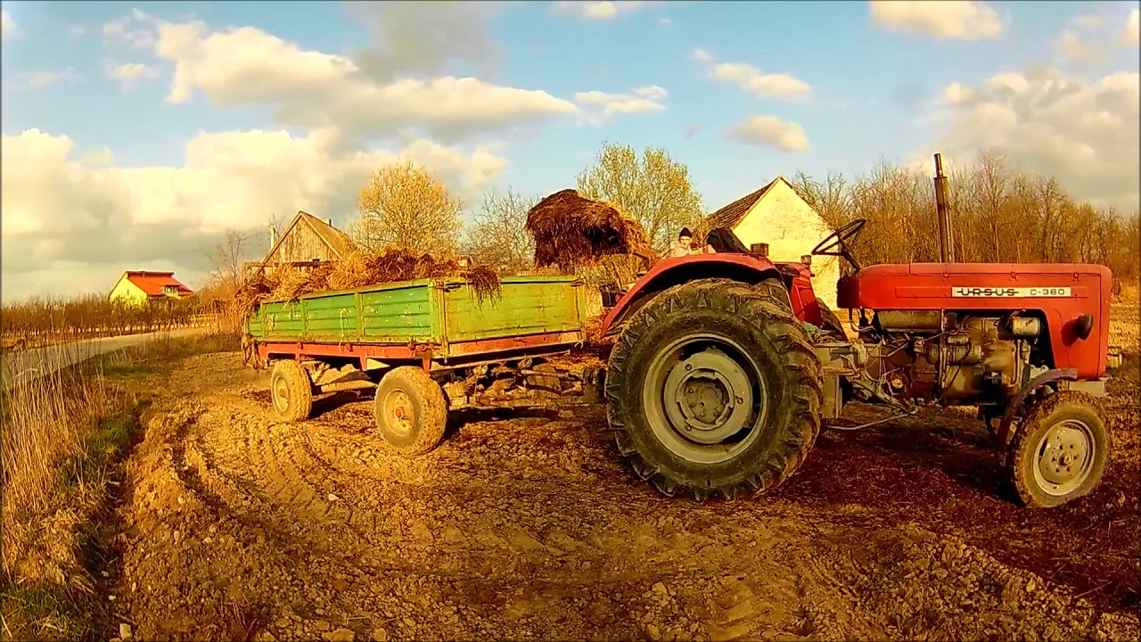 Wiosenny Obornik 2019  |2x Ursus c360 / c 360 3p |Agro Bas | Świętokrzyskie |