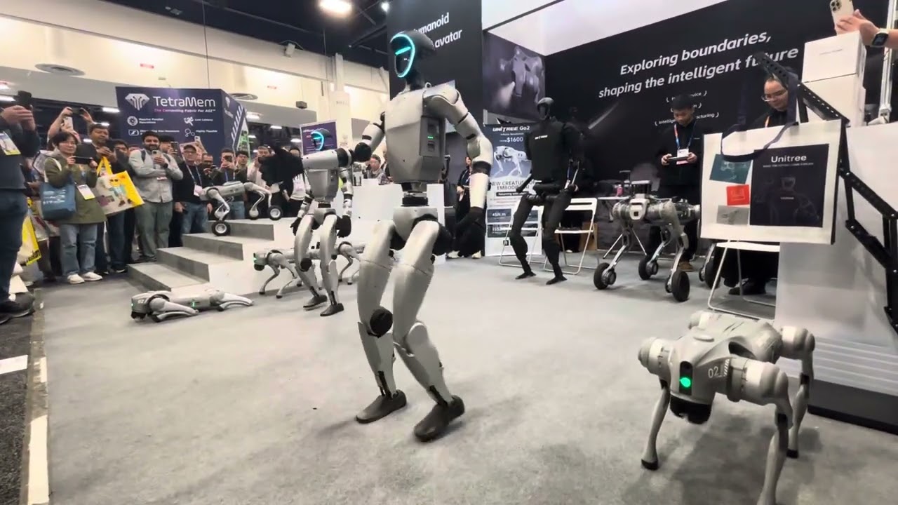 CES 2025. Unitree Robotics. G1 Demo