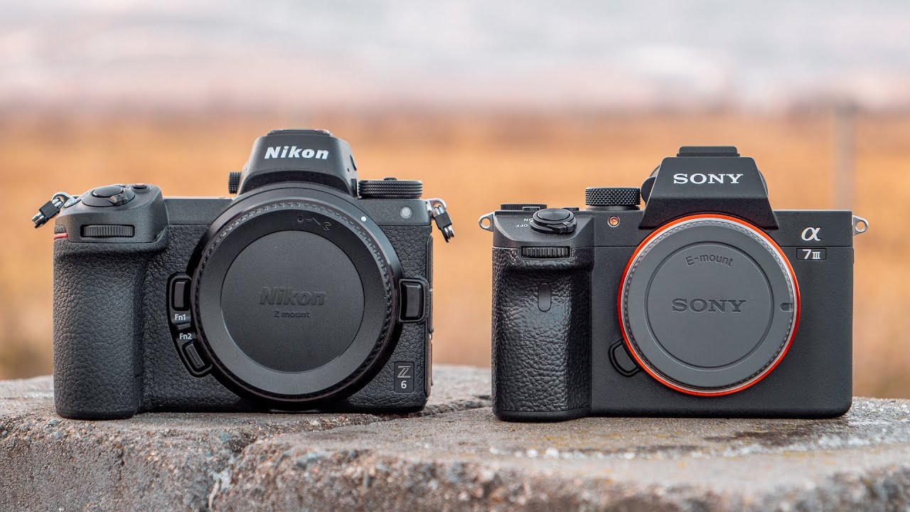 Sony A7III против Nikon Z6 — кто выиграл войну беззеркальных камер?