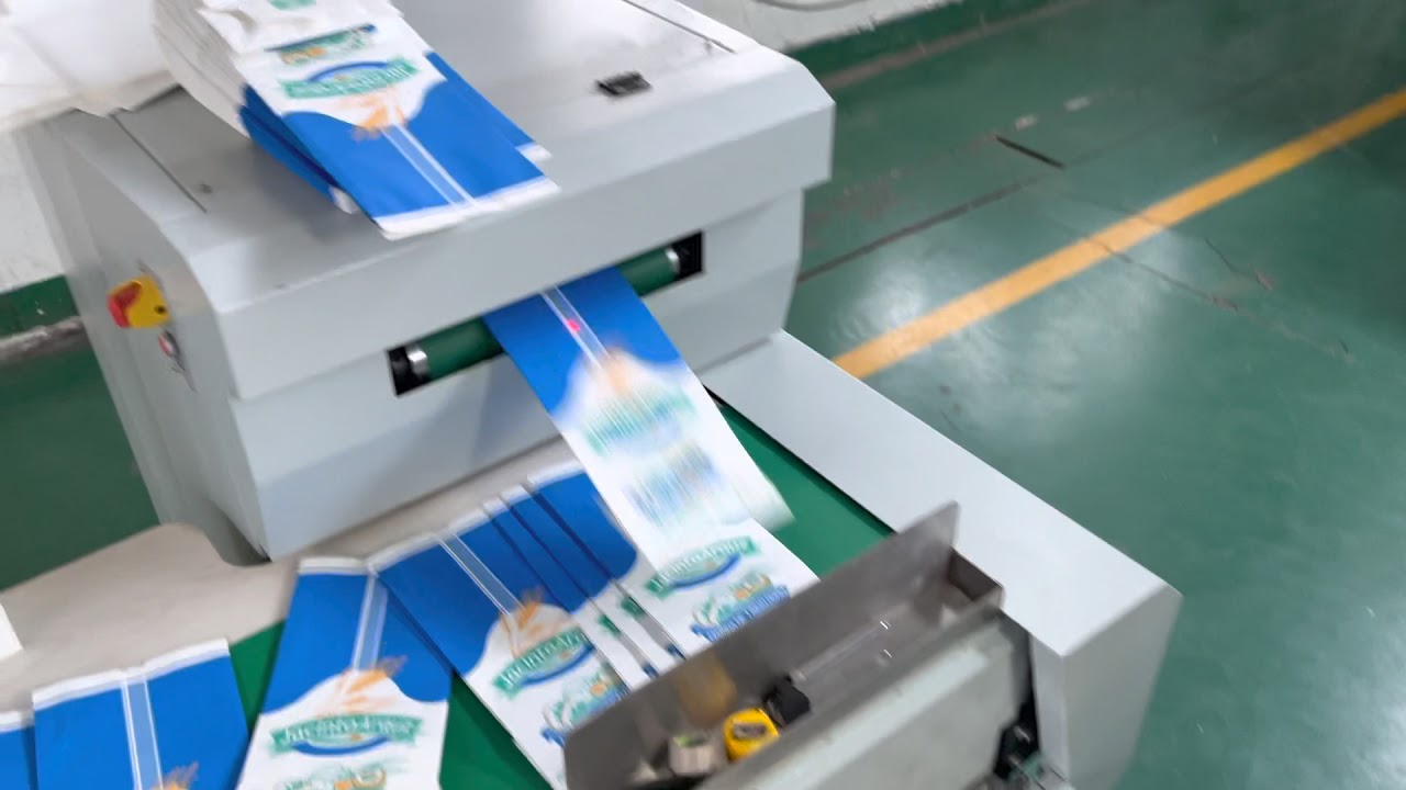 two ply flour/salt/sugar paper bag machine