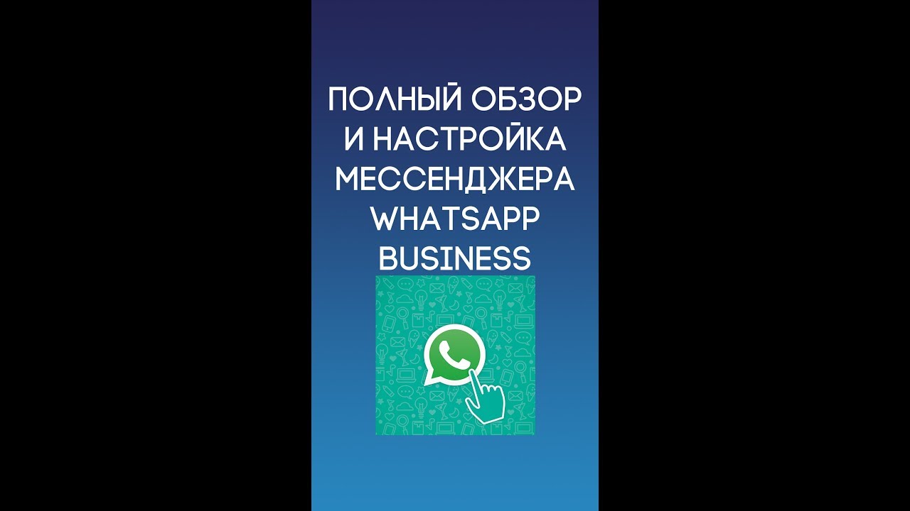 Полный обзор и настройка WhatsApp Business