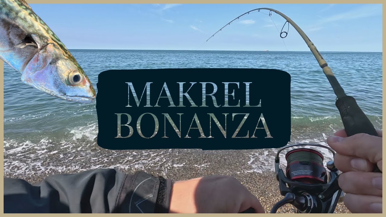 Makrelfiskeri - bonanza - Bovbjerg Fyr, fang en makrel, hvordan fanges en makrel, se hvordan vi gør.