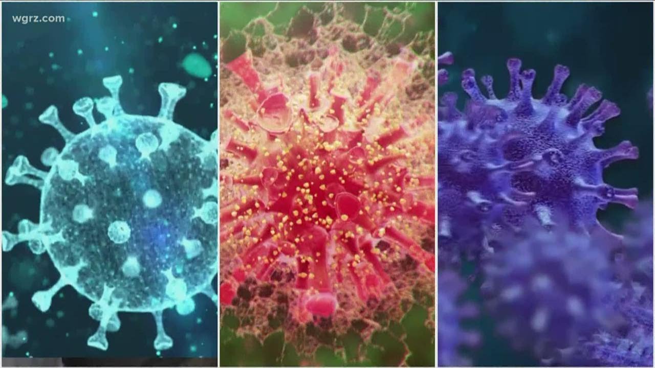 What you should know about virus variants