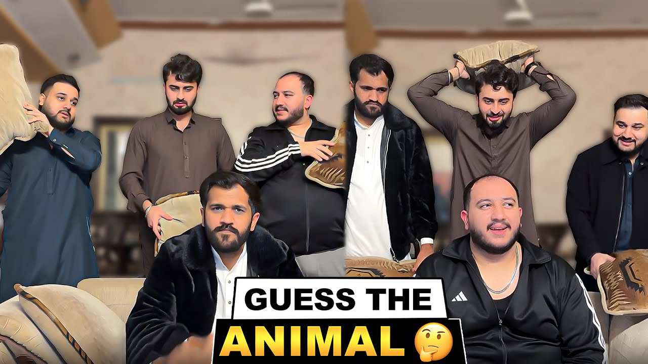 Guess The Animal Name In 5 Seconds😆  Haider Or Meri Fight Ho Gai😡