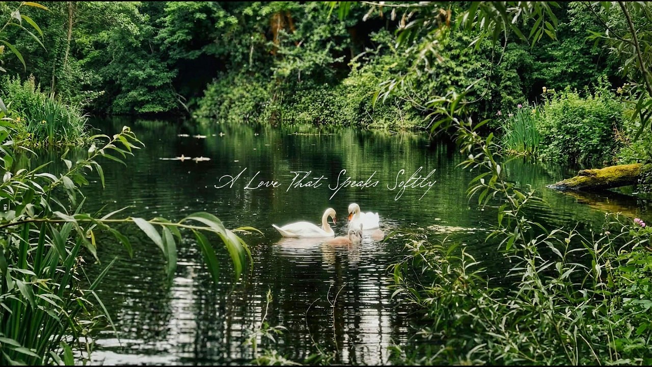 a love that speaks softly 🌸 beautiful romantic piano for peaceful moments