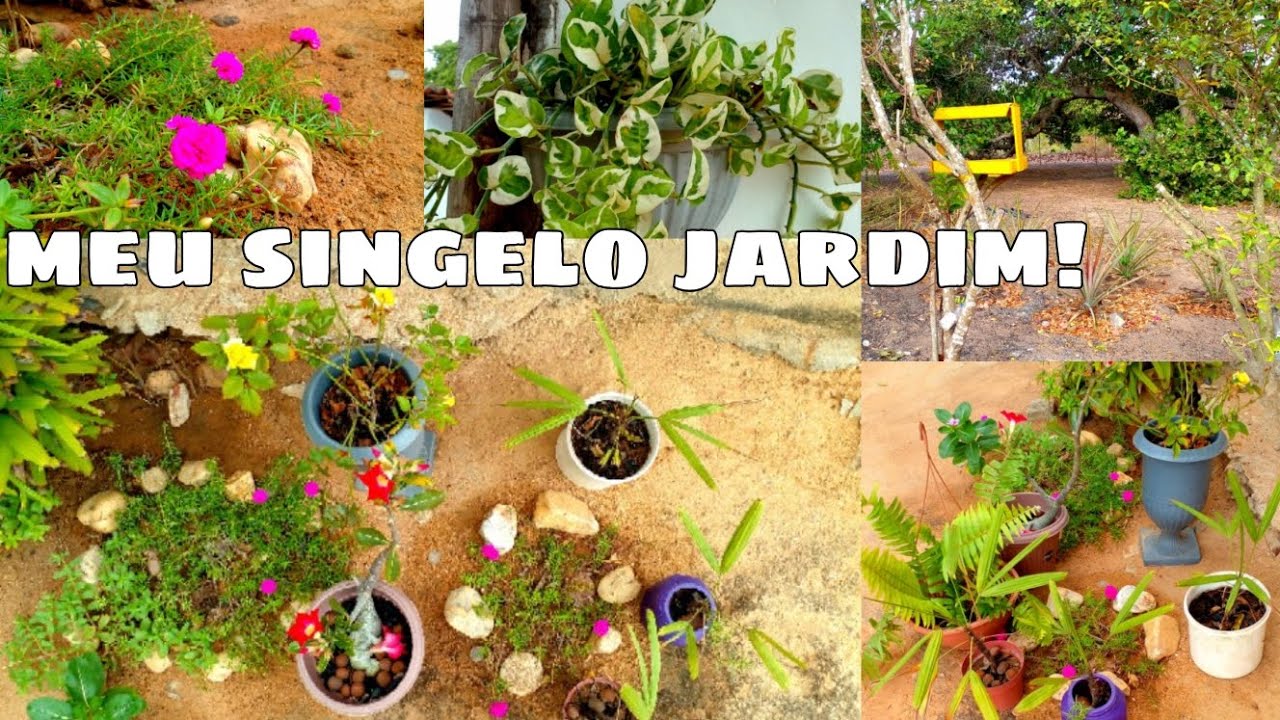 ROTINA NA ROÇA / PINTEI A CASINHA DOS PÁSSAROS + MOSTREI O JARDIM!🌷😍🌺🏵🌼