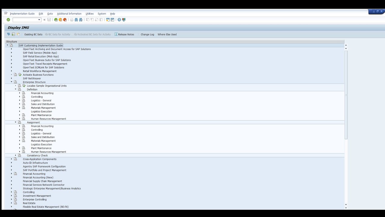SAP MM(MATERIAL MANAGEMENT) ORGANIZATIONAL STRUCTURE ECC ENTERPRICE STRUCTURE