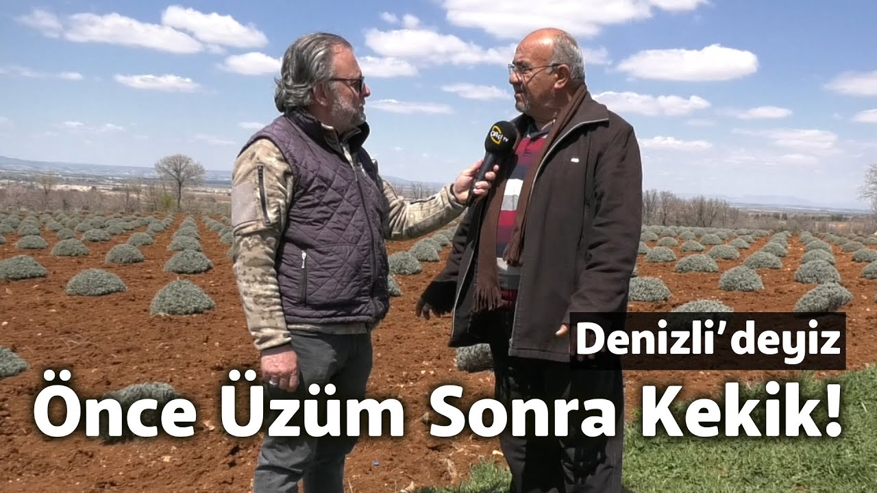 Önce Üzüm Sonra Kekik! - Bizim Köy