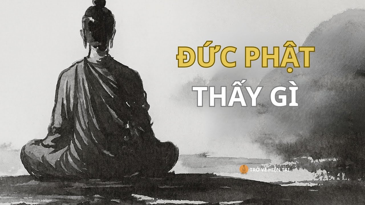 Điều Đức Phật Thấy Dưới Gốc Bồ Đề Không Phải Là Giác Ngộ Như Bạn Nghĩ