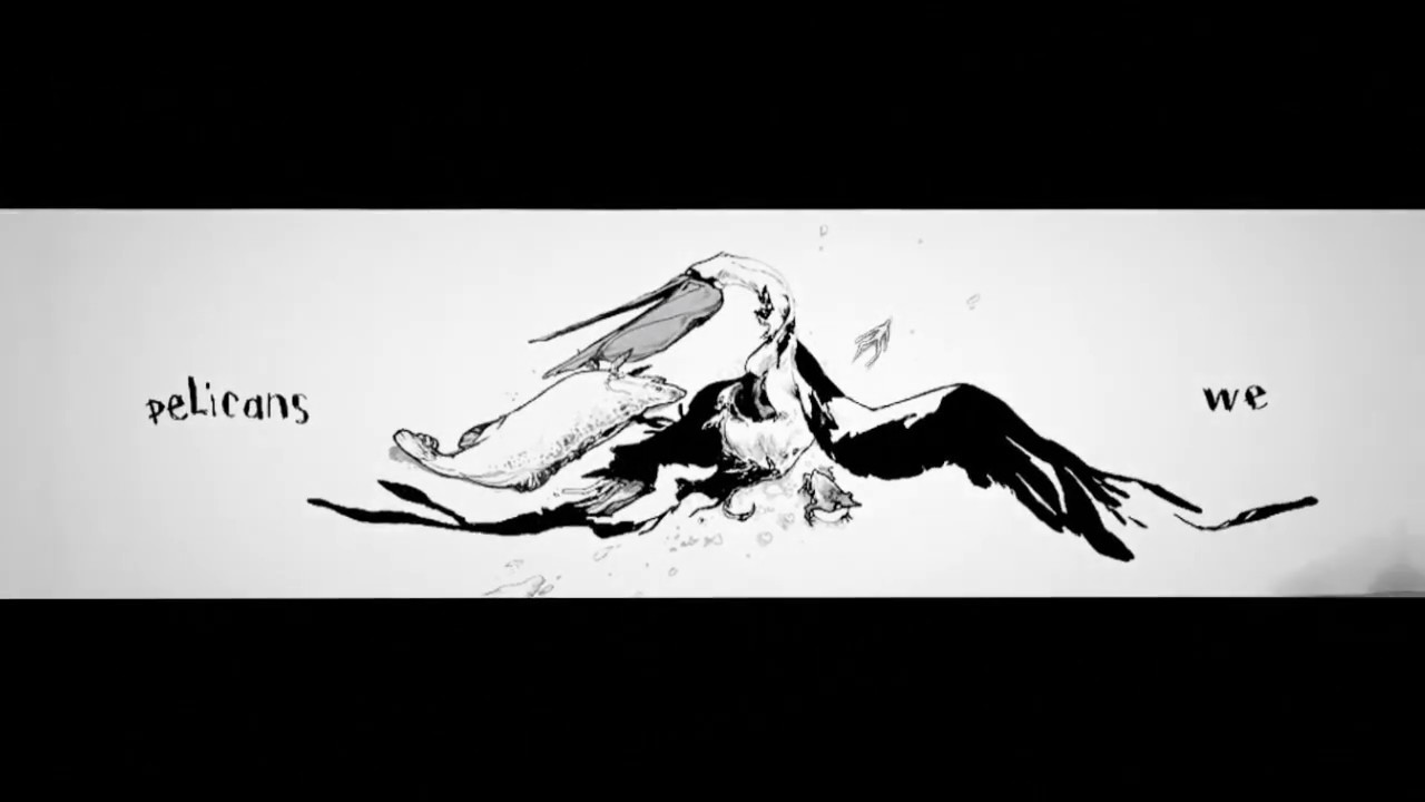 Pelicans We: Animation Excerpt