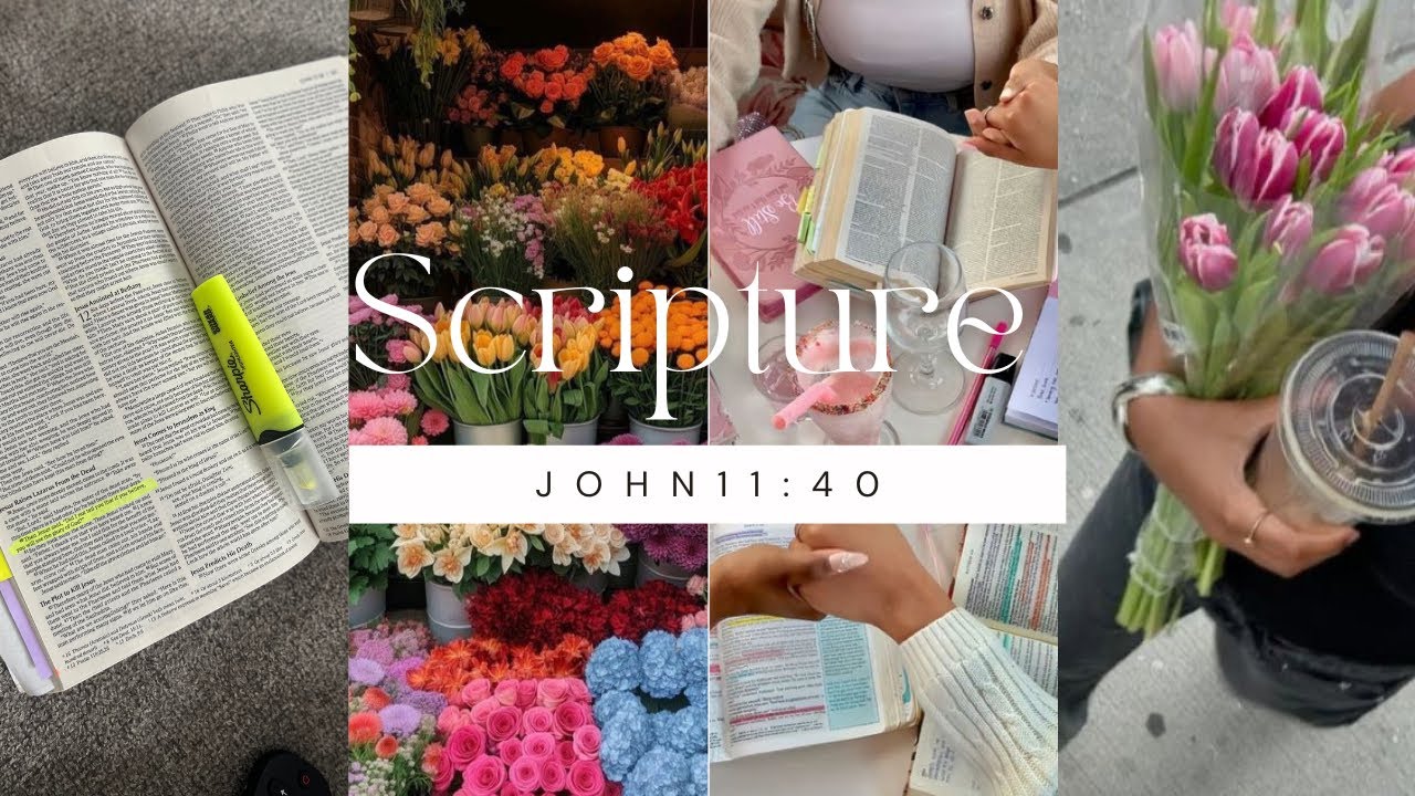 Scripture of the day✨
