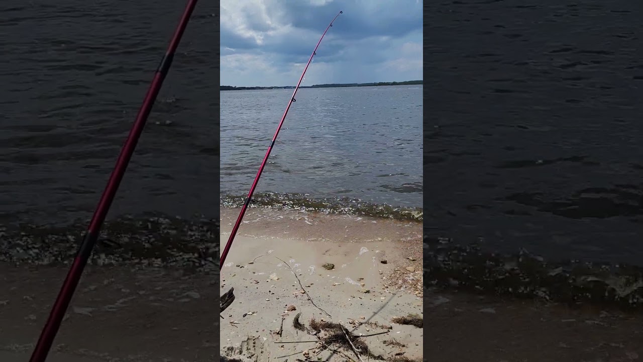 #ReddiePointPreserve#relax#newfishingspot 🎣#Florida🌴