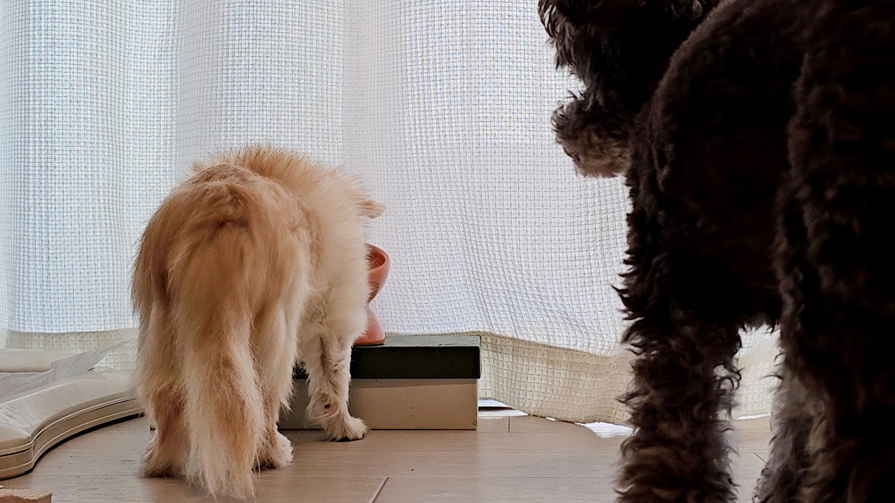 49日を迎えました