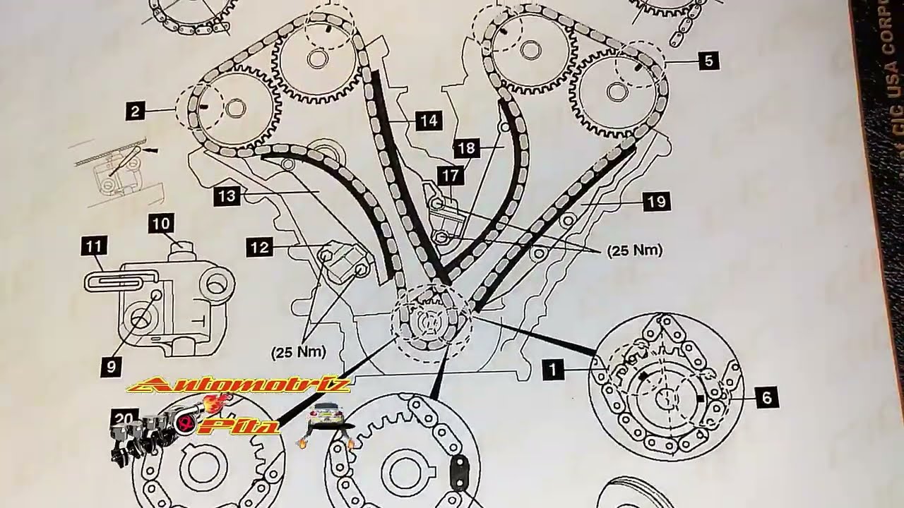 Puesta a Tiempo Cadenas 3.0 Ford Escape 2002
