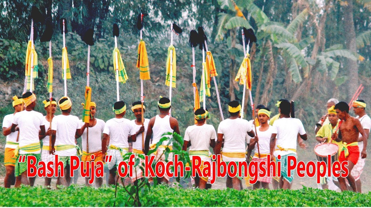 Koch Rajbongshi “Bash Puja”  || Rules of  Bash Puja || Bamboo Dance
