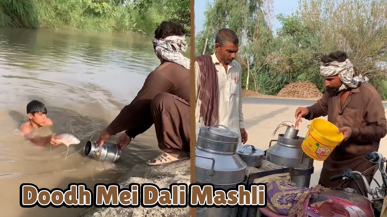 Doodh Mei Dali Mashli | BaggaFunnyTv