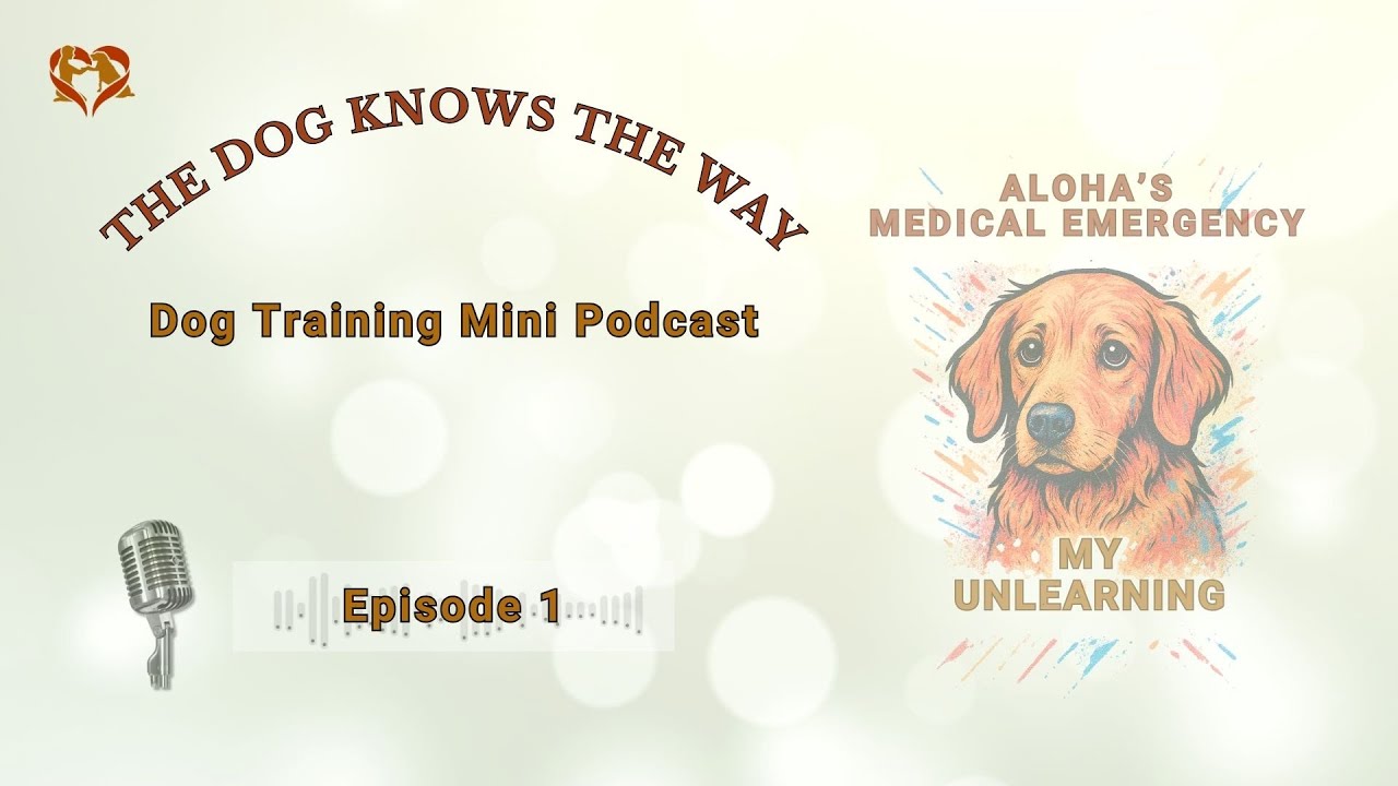 Episode 1 Aloha Medical Emergency