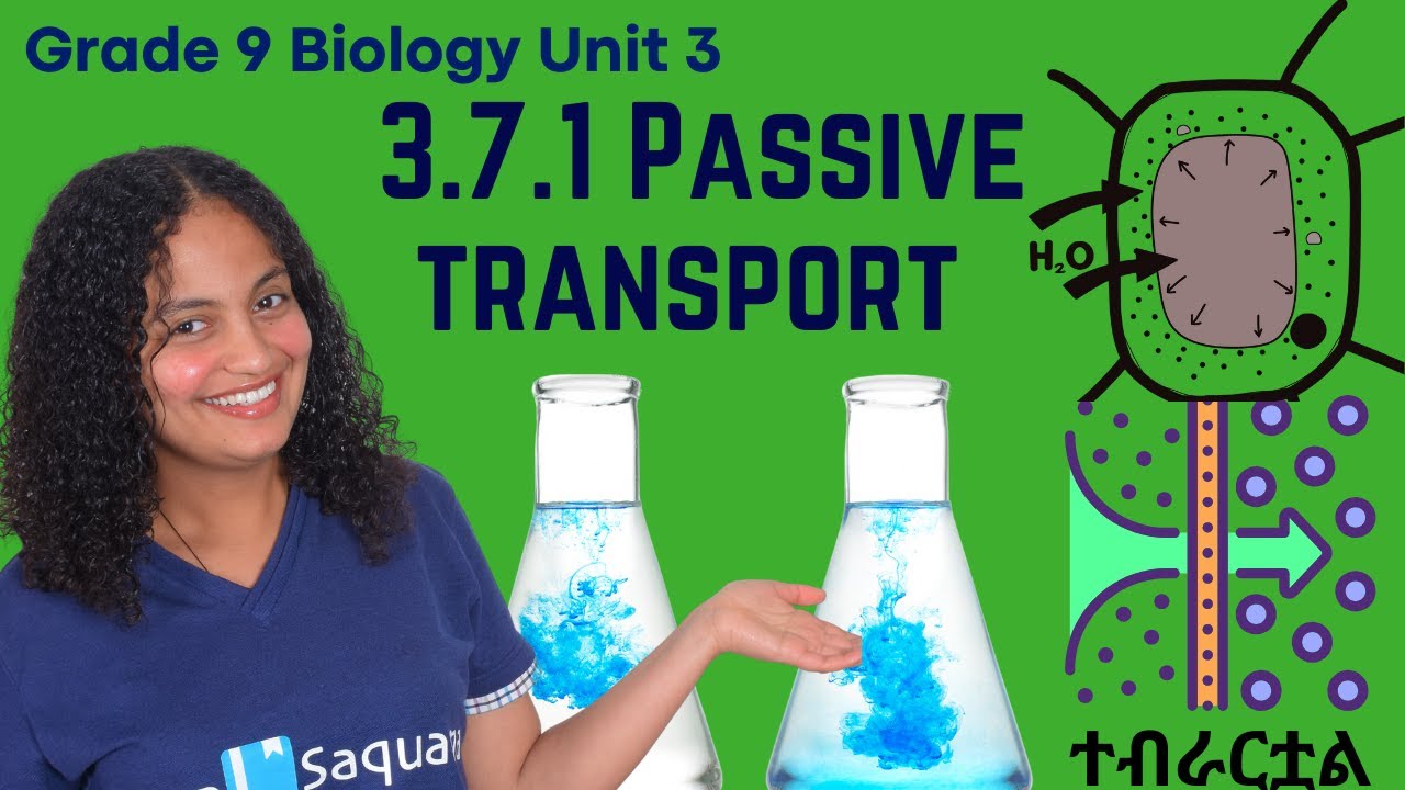 Grade 9 Biology Unit 3:3.7.1 Passive Transport  |Saquama | ሳቋማ