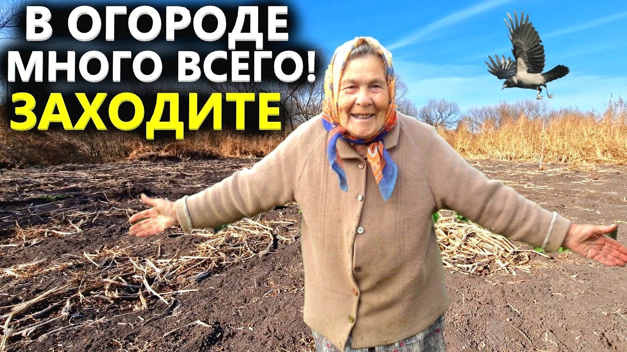 БАБУШКА БЫ НЕ ПУСТИЛА В ОГОРОД! УЗНАВ ЧТО НАЙДЕМ. Коп поиск монет 2022