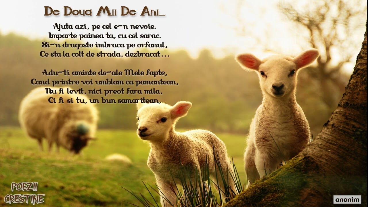 De două mii de ani... O poezie care te va încuraja și întări pe calea către Cer!