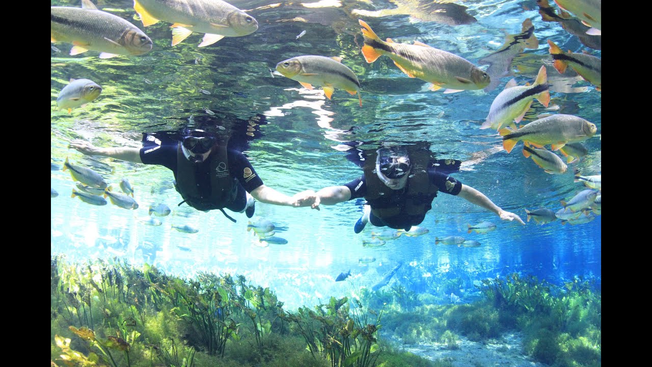 My Brazilian Friends - 19 Bonito 1/3 - MS: Big fishes and a big Sucuri snake