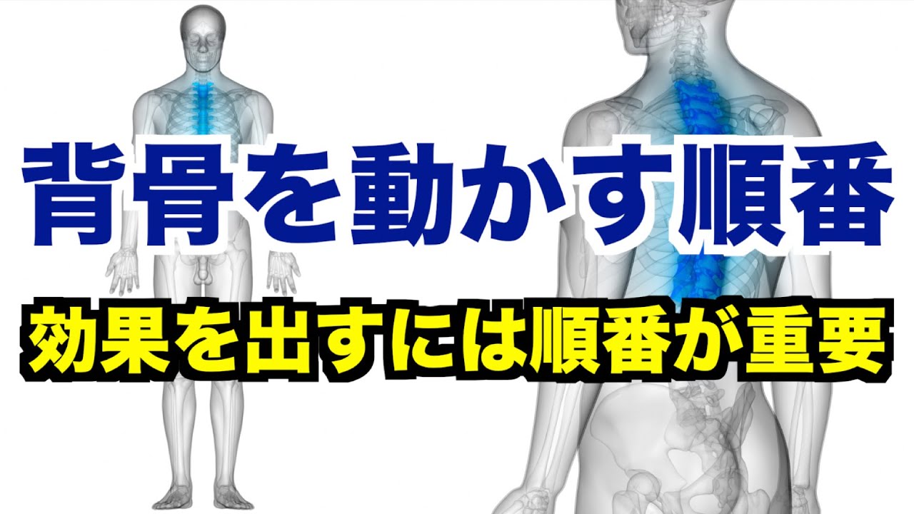 【背骨が硬い人は必見】背骨のエクササイズでは「動かしていく順序」が重要！「丸める動き・反らせる動き・捻る動き・横に倒す動き」の４つの順序立てと根拠について！【愛媛県松山市　姿勢・歪み・痛み改善】