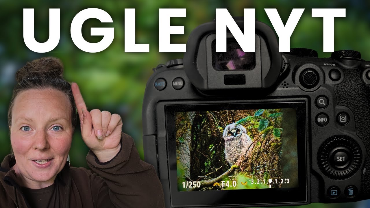 Mærkelig lyd på gården – vi finder kilden! 🦉