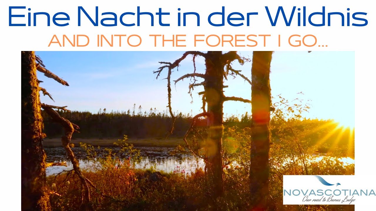 Eine Nacht in Kanadas Wildnis: And into The Forest I go...