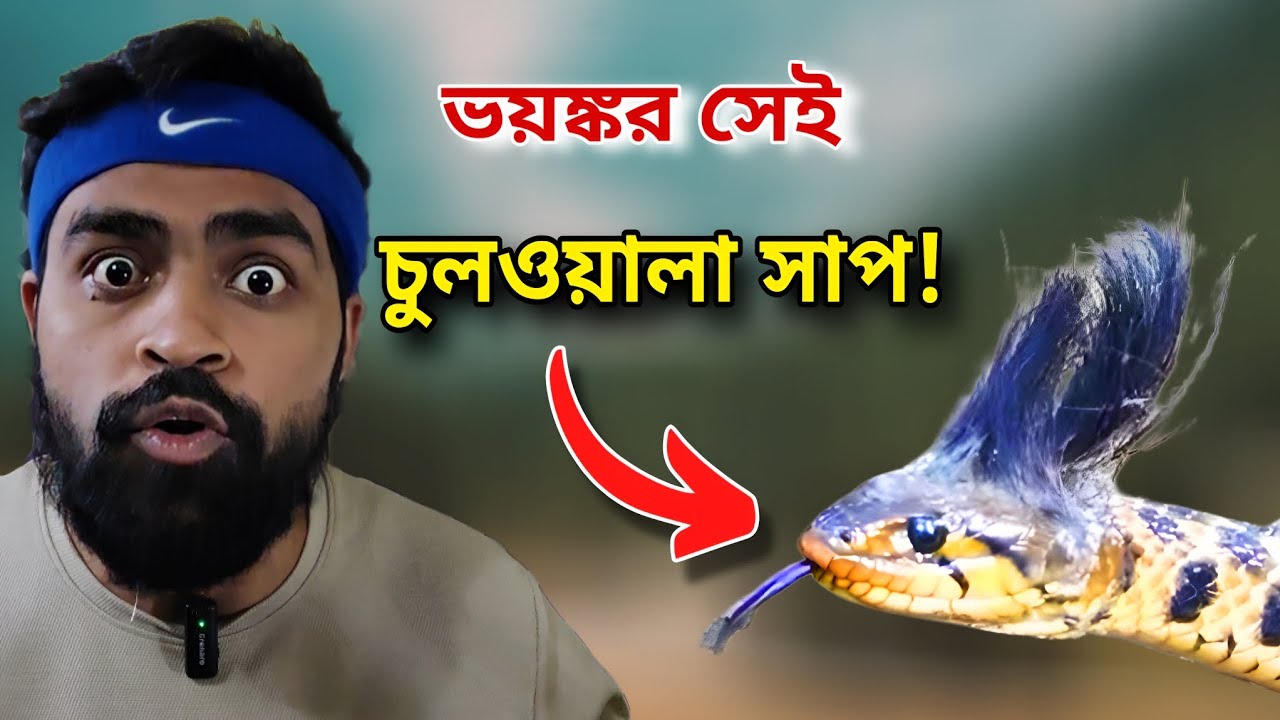চুল ওয়ালা সাপ কেন এত বিষাক্ত? আজব ঘটনার পিছনে রহস্য কী? Hairy Poisonous Snake #snakefacts #viral